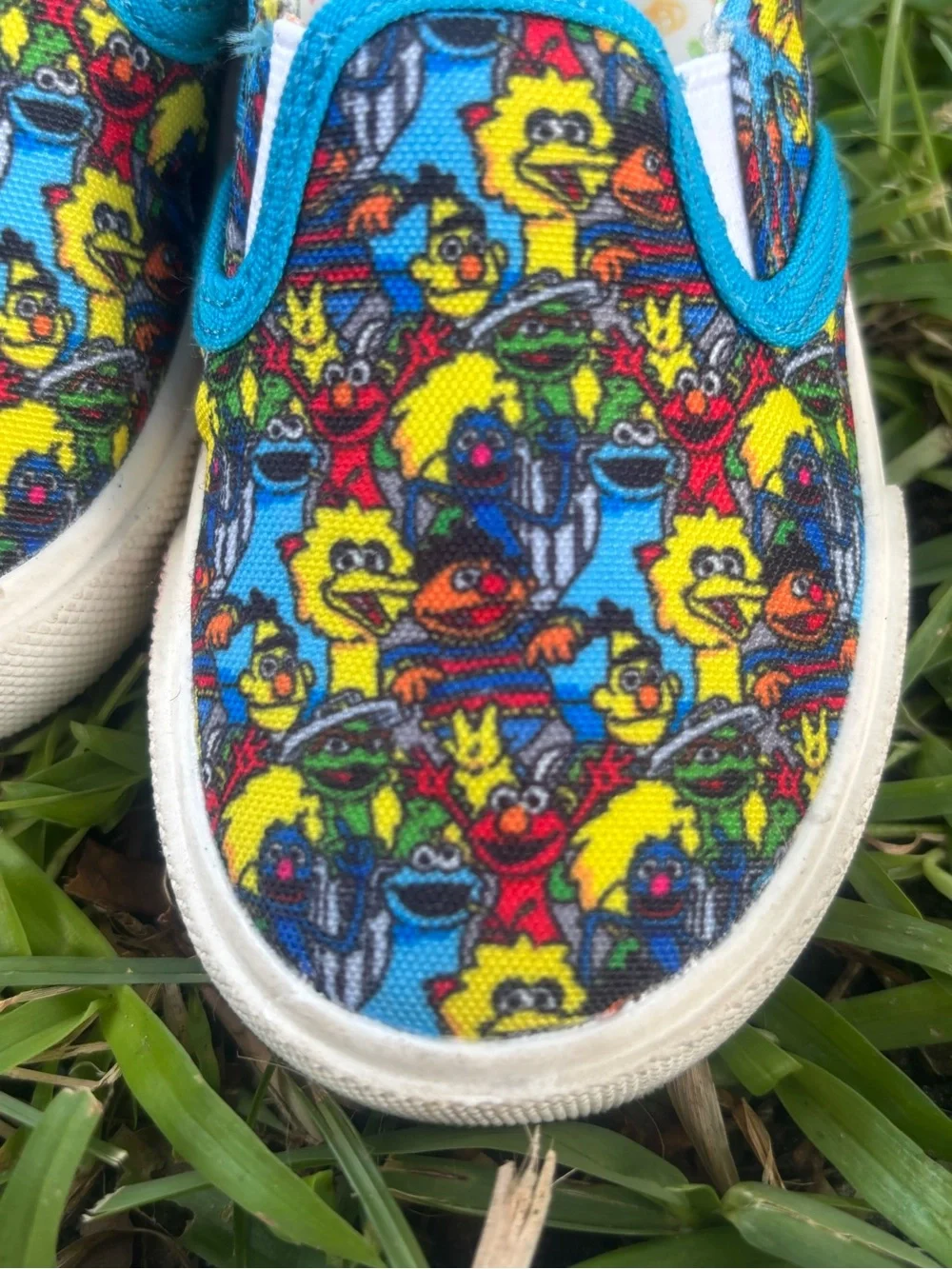 Kids Slip-On Canvas Shoes with Colorful Character Print - Blue Trim Sesame  6
